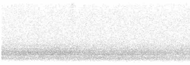 Common Redshank - ML616326762