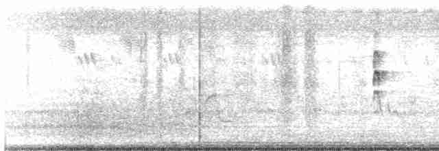 灰胸秧雞 - ML616327226