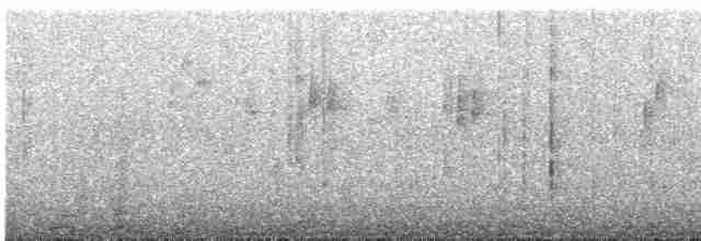 Kundinamarka Dikenkuyruğu - ML616330019