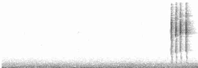 Grauschwanz-Dickichtschlüpfer - ML616330020
