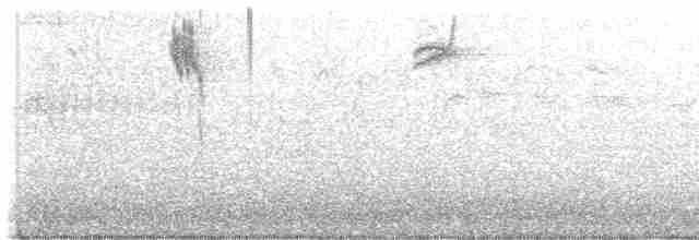 Fox Sparrow (Sooty) - ML616330682