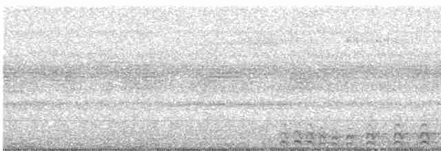Slaty-tailed Trogon - ML616330780