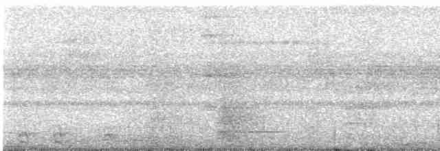 Slaty-tailed Trogon - ML616330781