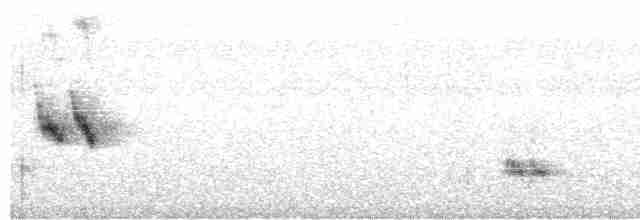 Пересмішник патагонський - ML616332925