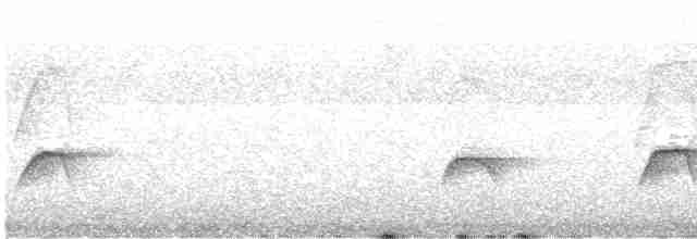 White-crested Elaenia - ML616334137
