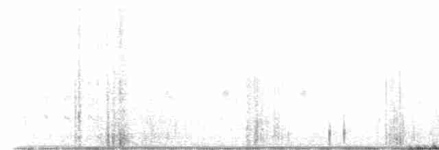 strnadec bělohrdlý - ML616334515