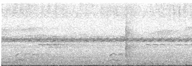 Пенелопа світлоголова - ML616334891