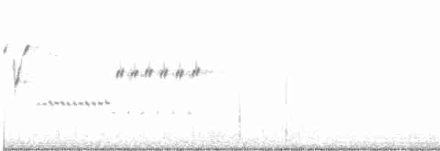 Black-throated Sparrow - ML616336723