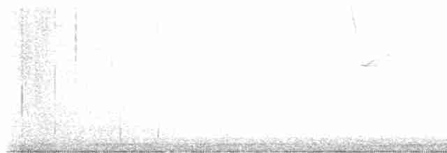 Karolina Çıtkuşu - ML616337188