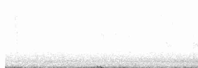 European Starling - ML616337473