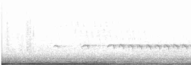 Chaparralgrasmücke - ML616340775