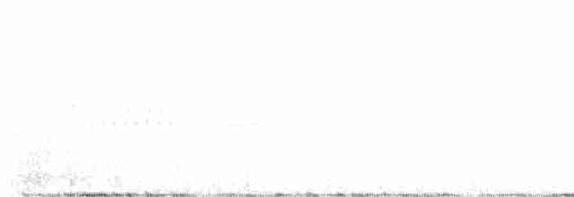 Тремблер кактусовий - ML616341157