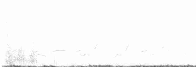 Кактусовый пересмешник - ML616341158
