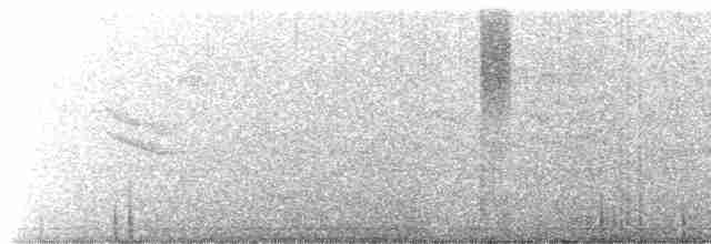 Длиннохвостый крапивник - ML616341849