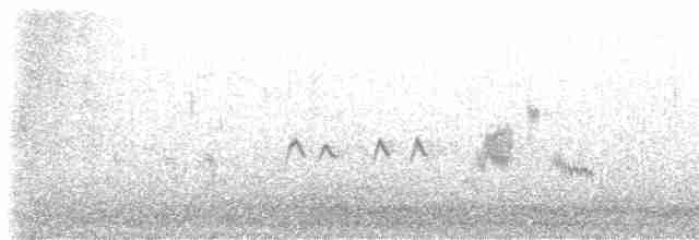 Mirlo Acuático Norteamericano - ML616343293