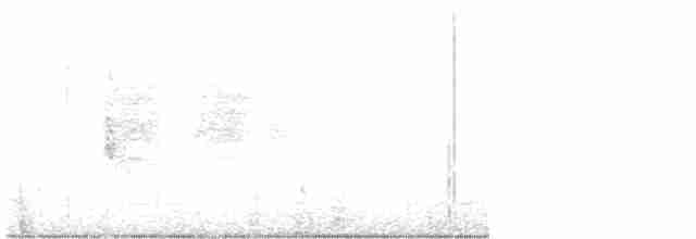 White-lored Gnatcatcher - ML616344857