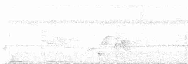 Поплітник плямистий - ML616345410