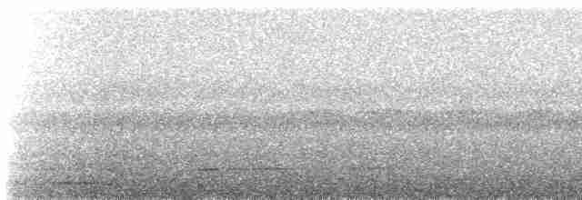 Chevêchette cuculoïde - ML616345413