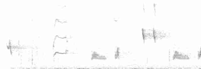 Cuitlacoche Ocelado - ML616345763