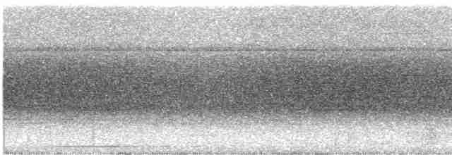 Violaceous Quail-Dove - ML616346022