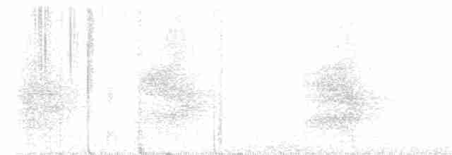 Diademhäher [coronata-Gruppe] - ML616346531