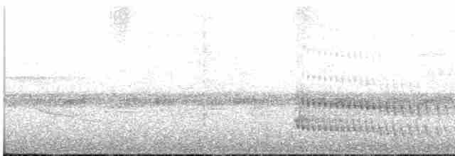 Collared Trogon (Collared) - ML616349032