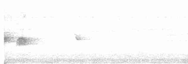 Grauscheitel-Ameisenvogel - ML616349070
