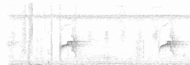 Rotschwanz-Glanzvogel (melanogenia) - ML616349497