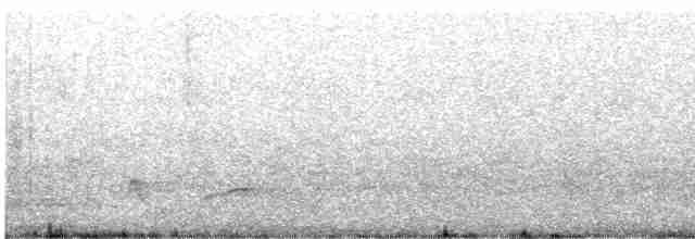Каштановый скрытохвост - ML616350074