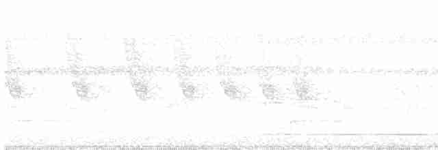 Татаупа сірогрудий - ML616350101