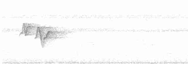 Віреончик білочеревий - ML616350117