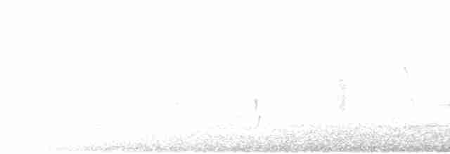 Боготский крапивник - ML616350842