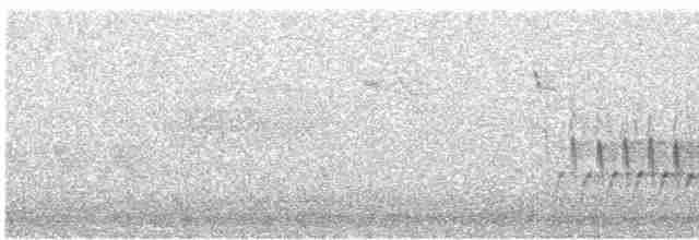 Ardıç Baştankarası - ML616352182