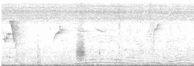 Clamorous Reed Warbler - ML616352431