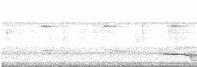 Поплітник білогорлий - ML616352848