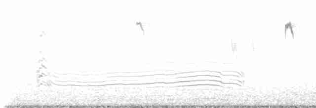 luňák bělohlavý - ML616354915