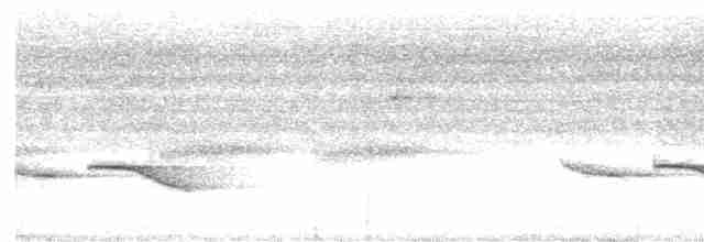 Puff-throated Babbler - ML616354974