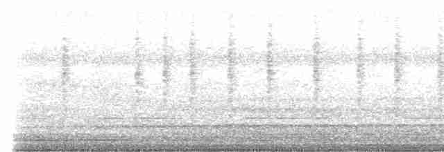 Кобилочка плямиста - ML616355767