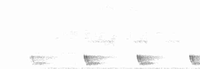 Дрімлюга великохвостий - ML616356097