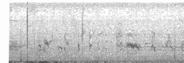 Thick-billed Warbler - ML616356135
