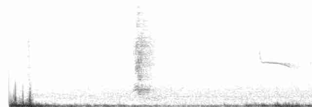 Méliphage carillonneur - ML616356392