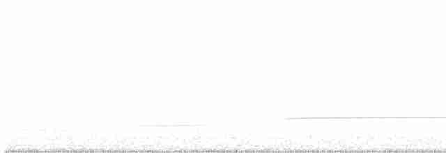 Ibis txoriandrea [alaudipes Taldekoa] - ML616356639