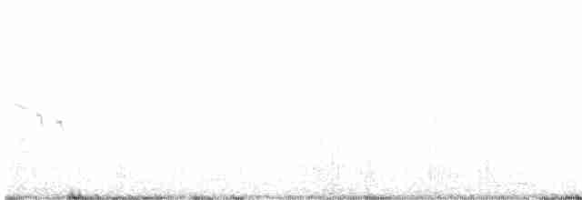 Жайворонок рогатий (підвид atlas) - ML616356721