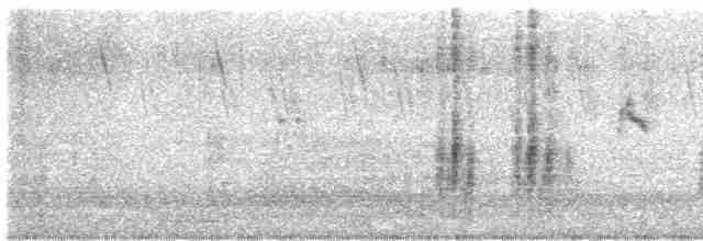 Oriental Reed Warbler - ML616356913