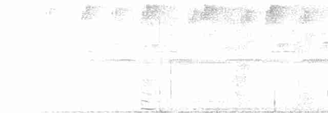 Great Eared-Nightjar - ML616357284