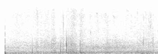 Светлоглазый трупиал - ML616358640