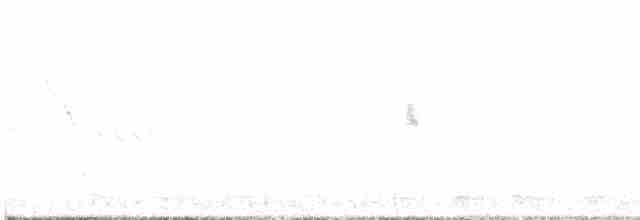 疣鼻天鵝 - ML616359403