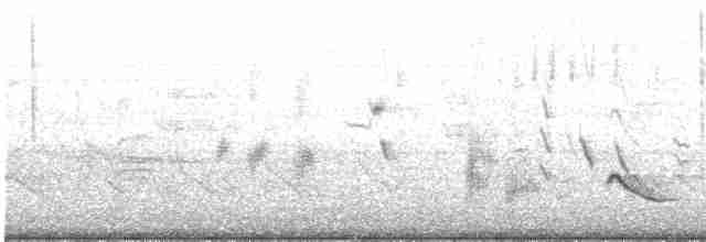 American Tree Sparrow - ML616360259