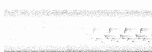 Каролинский крапивник - ML616361128