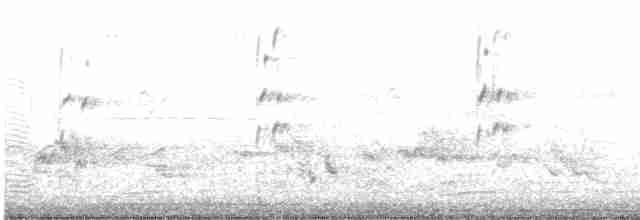 Малый пегий зимородок - ML616361488